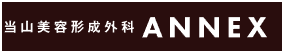 当山美容形成外科アネックス