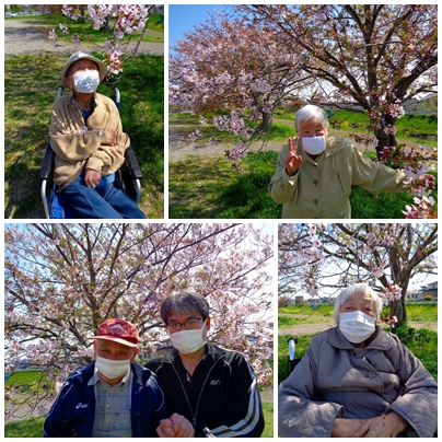 4月行事 お花見 1